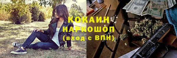 гашик Вяземский