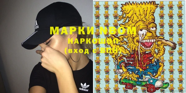 гашик Вяземский