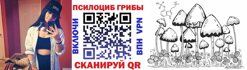 закладки  Зеленоградск  Псилоцибиновые грибы GOLDEN TEACHER 